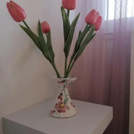 Happy Fish スプリト